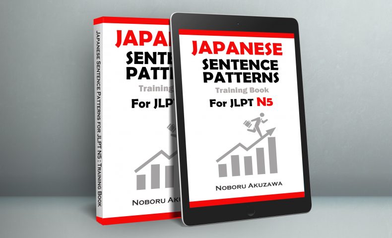 Japanese Sentence Patterns<br> Training Books